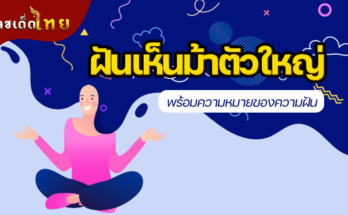 ฝันเห็นม้าตัวใหญ่