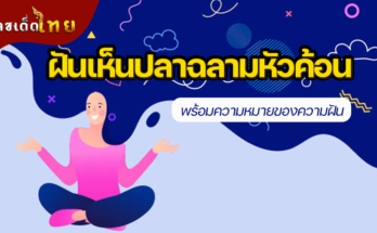 ฝันเห็นปลาฉลามหัวค้อน