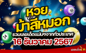 หวยม้าสีหมอก 16/12/67